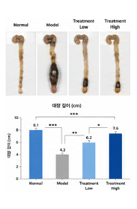 배변활동 개선 동물모델 대장 육안 이미지 예시