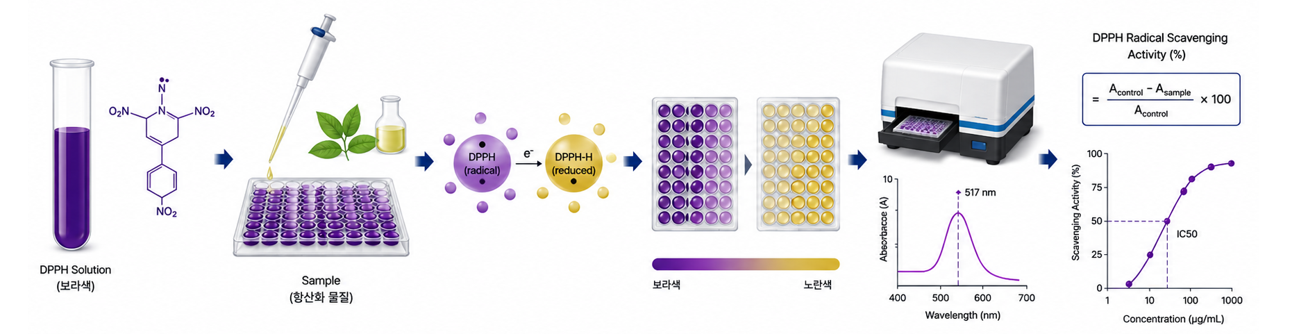 DPPH assay 측정 원리 이미지