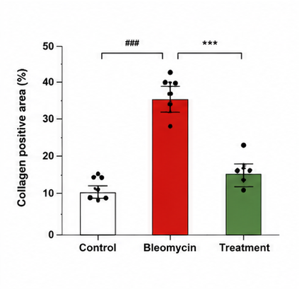 Collagen / Fibronectin 정량 결과 예시