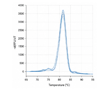qPCR melt curve 결과 예시