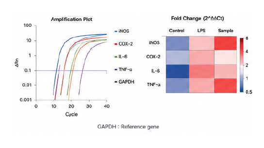 qPCR 기반 염증성 marker 분석 결과 예시