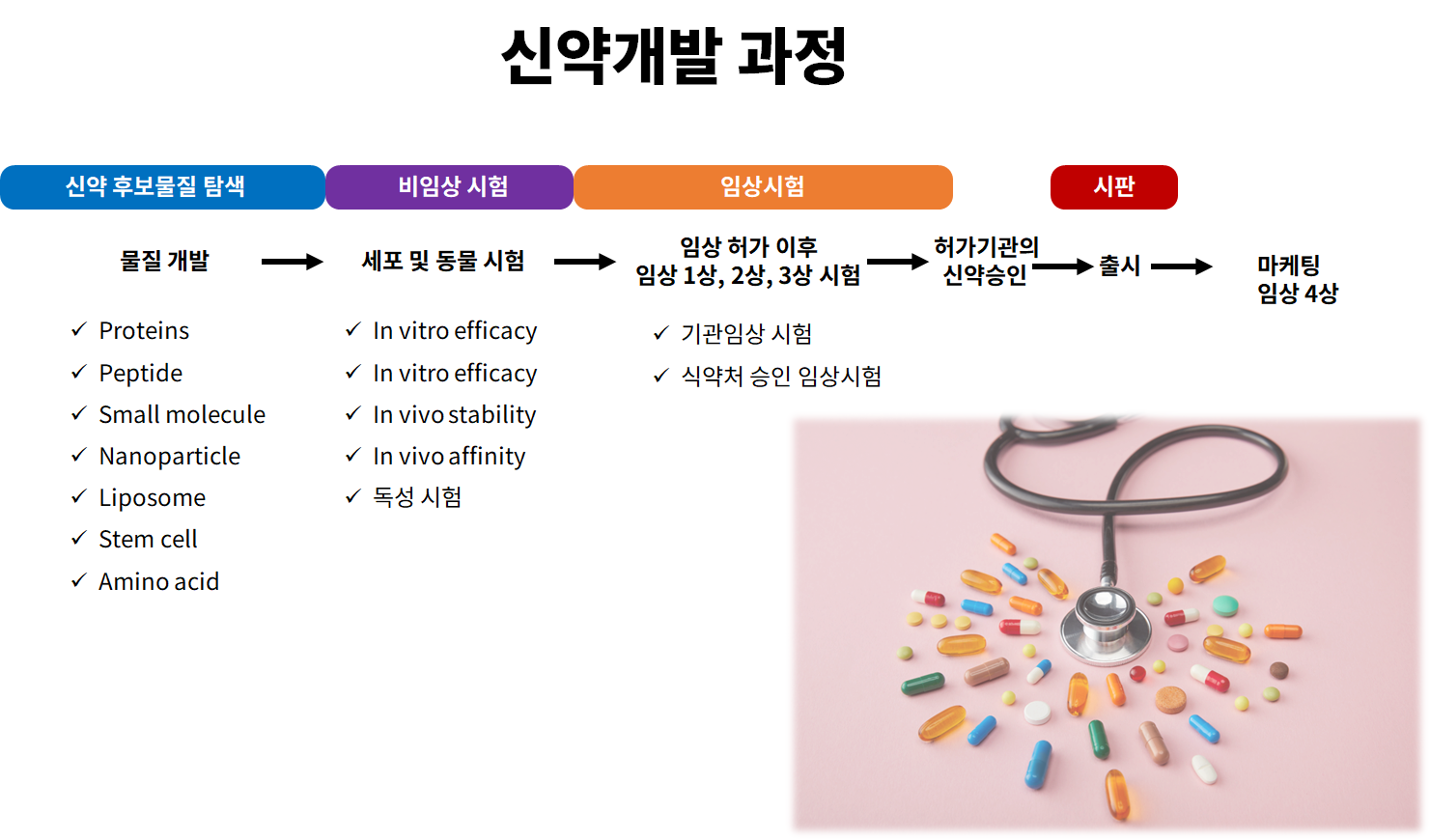신약개발의 단계의 이해를 하고 싶은데 간단하게 설명 가능한가요? : BITOIC