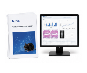 골관절염 개선 동물모델 최종보고서 이미지
