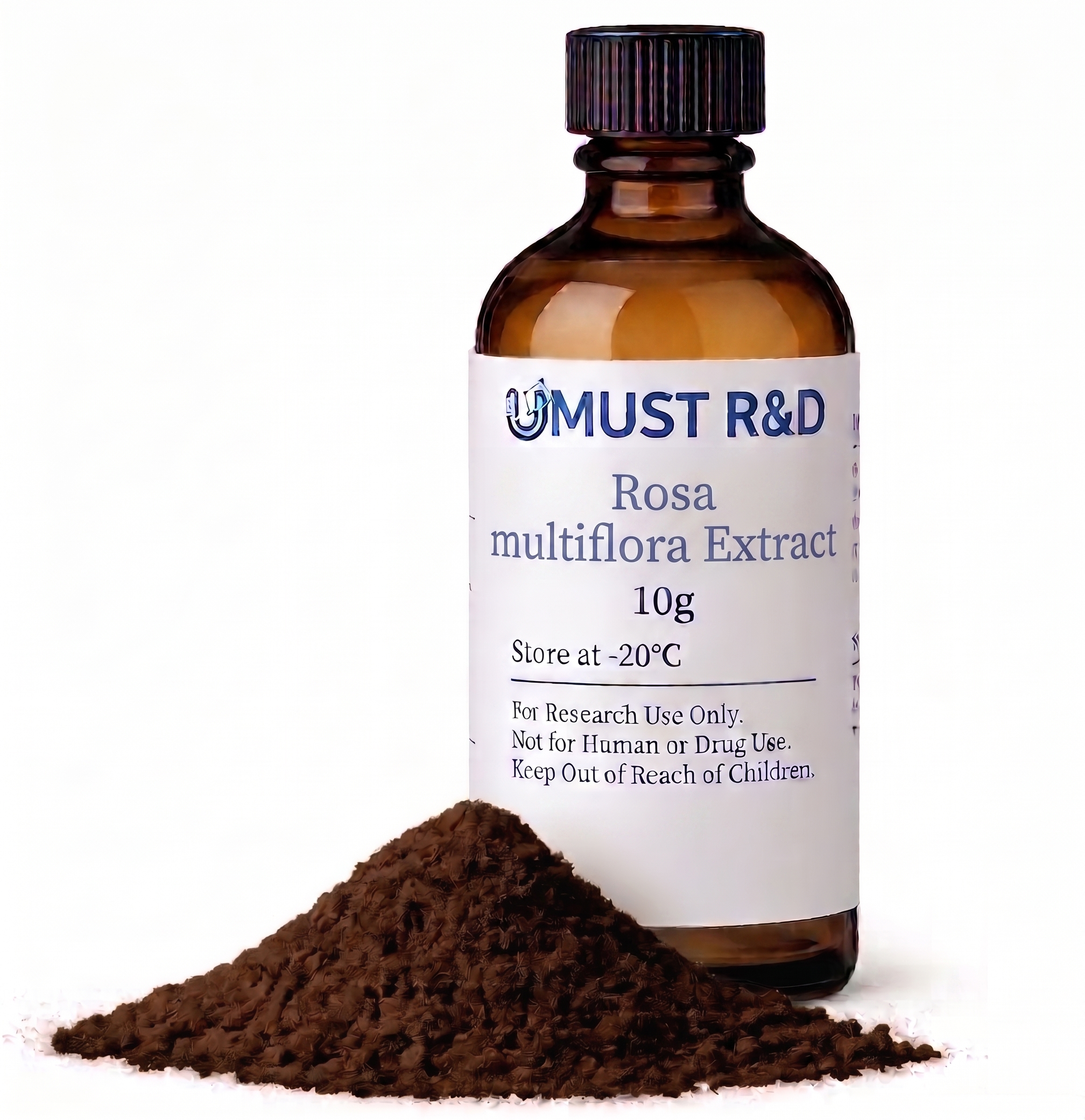 영실자 추출물 파우더 Rosa multiflora Extract Powder 제품 이미지