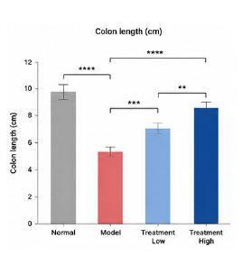장 염증 개선 동물모델 colon length 그래프 예시