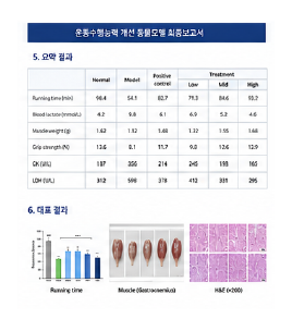 운동수행능력 개선 동물모델 결과표 및 최종보고서 예시