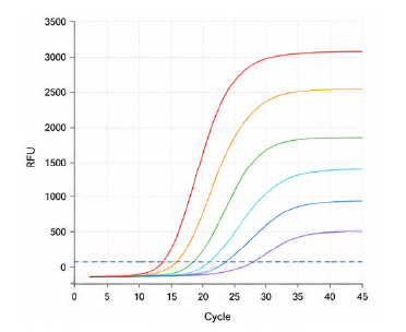 qPCR amplification plot 결과 예시
