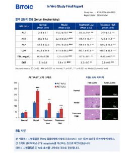 간손상 보호형 동물모델 혈액분석표 및 최종보고서 예시