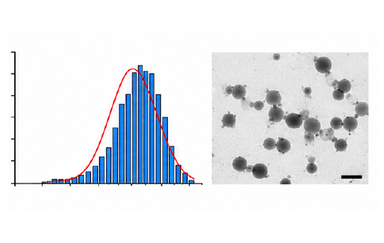 DDS particle size distribution 결과 예시