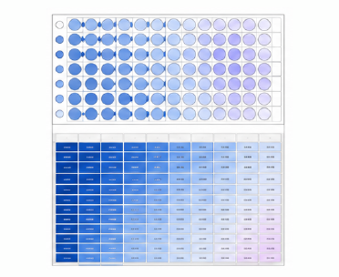 오가노이드 qPCR Ct raw data 예시
