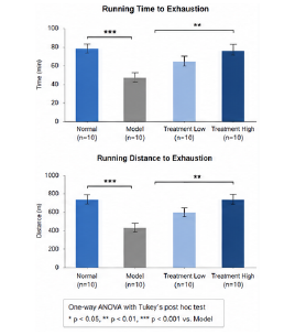 근력 근기능 개선 동물모델 treadmill endurance 결과 그래프 예시