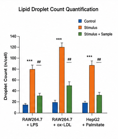 Lipid Droplet Count Quantification Graph 예시