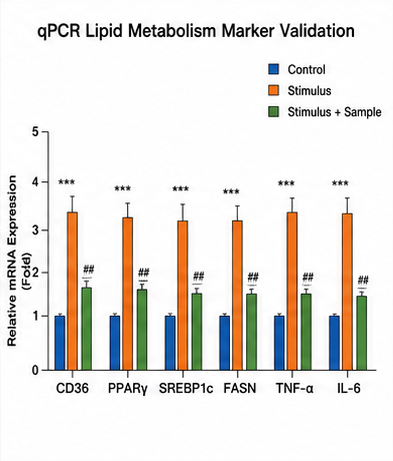 qPCR Lipid Metabolism Marker Validation 예시
