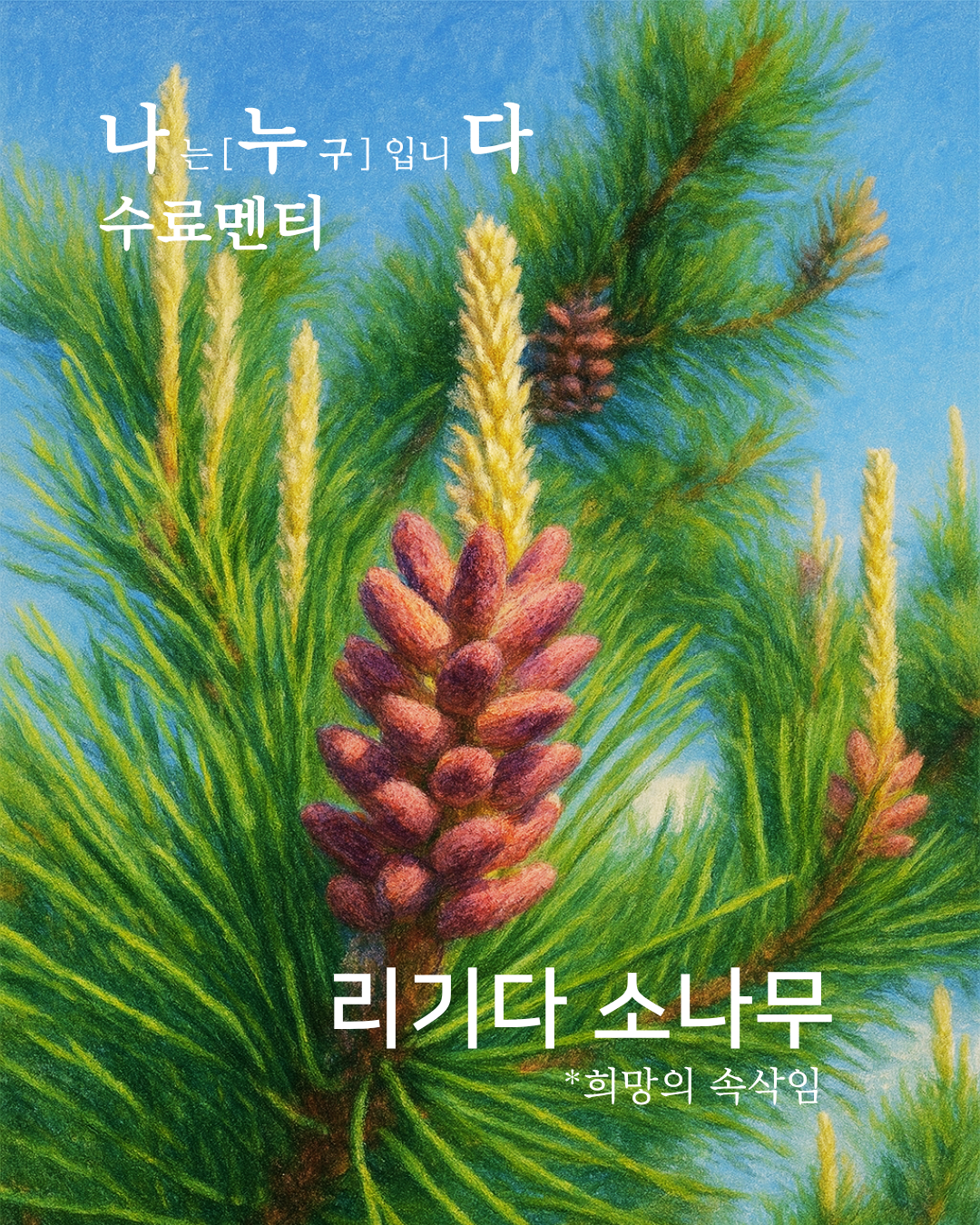 4ab7fd14a32b9.png