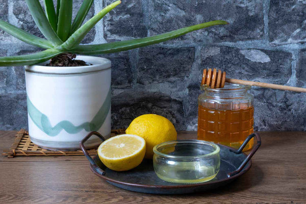 DIY 알로에 베라 오일 레시피