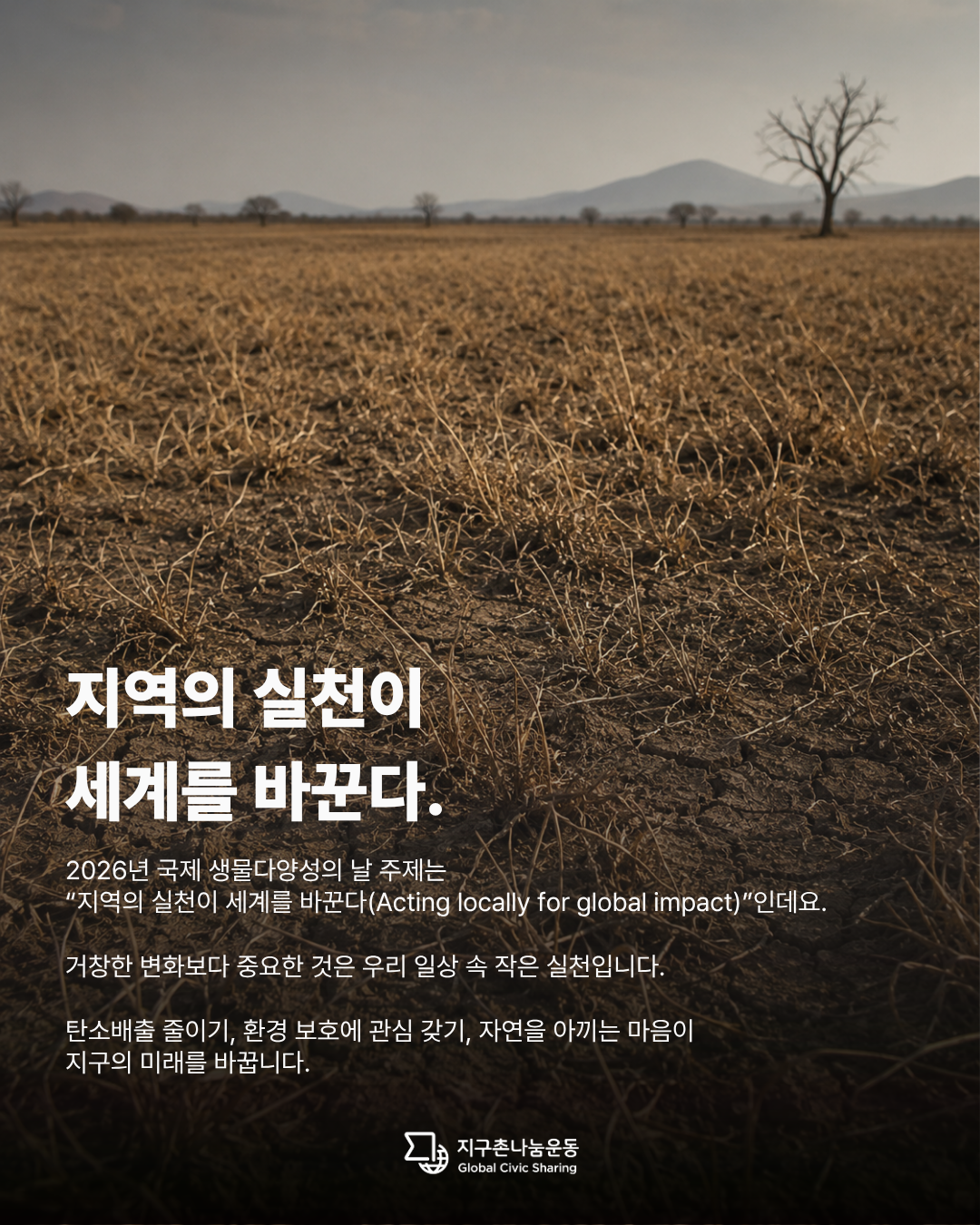 cc0701ad55eba.png