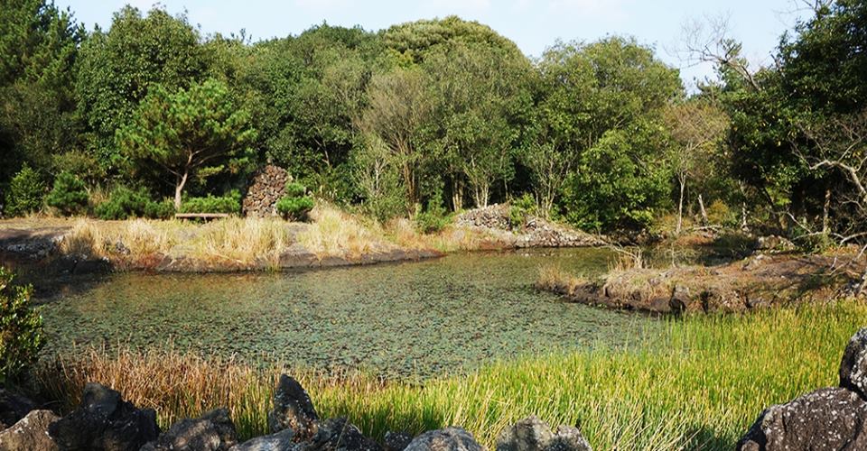 제주 동백동산 람시르습지(출처: VISIT JEJU)