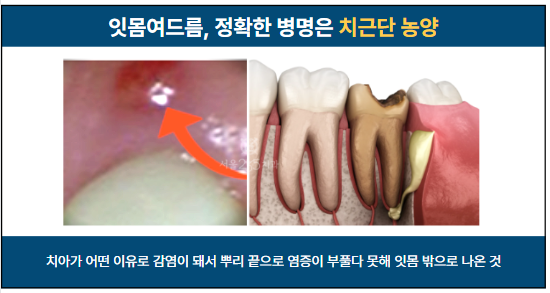 20f4843a9cad1.png