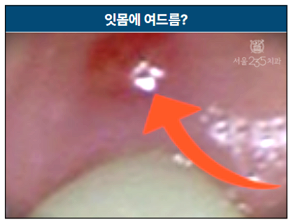 4171786e04165.png