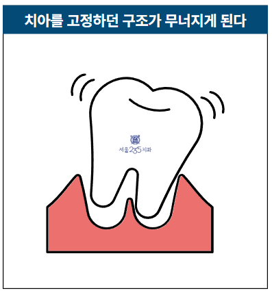 e2837a6579d3a.png