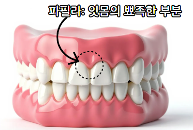 f3112d9fa0947.png