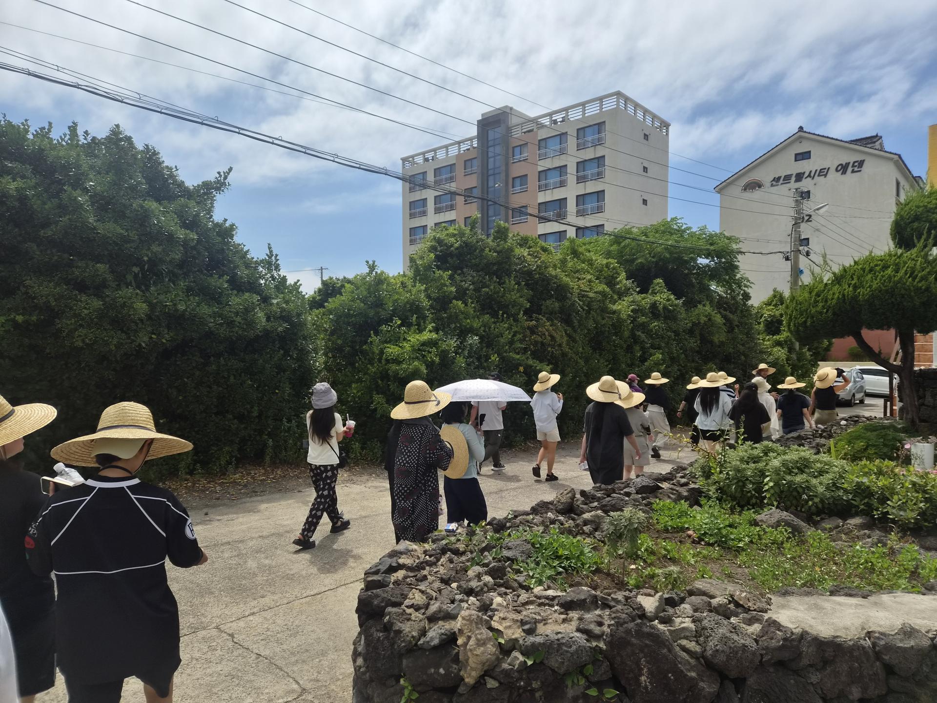 dd59a80ed426c.jpg