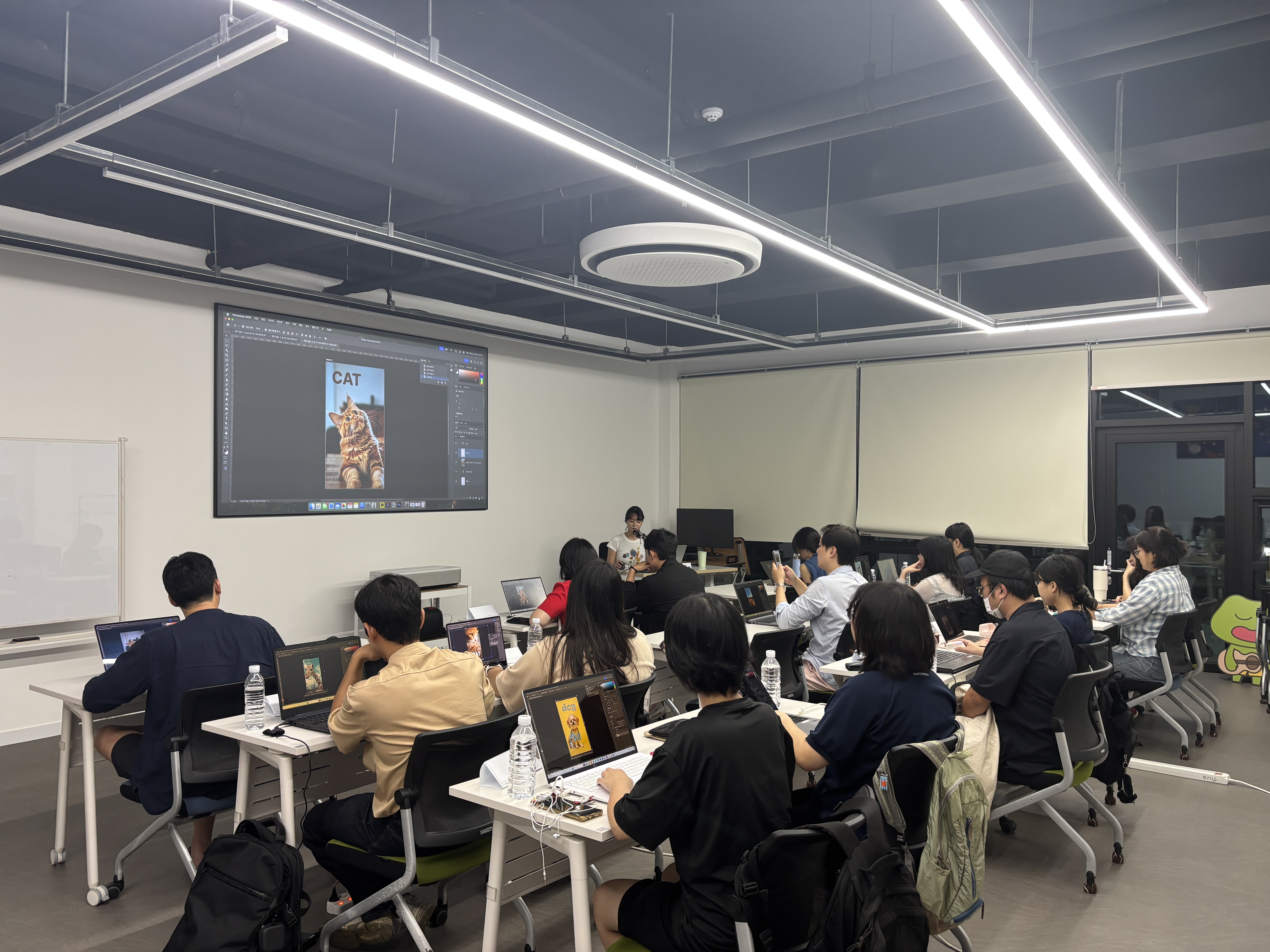 fc14f1ec3590f.jpg