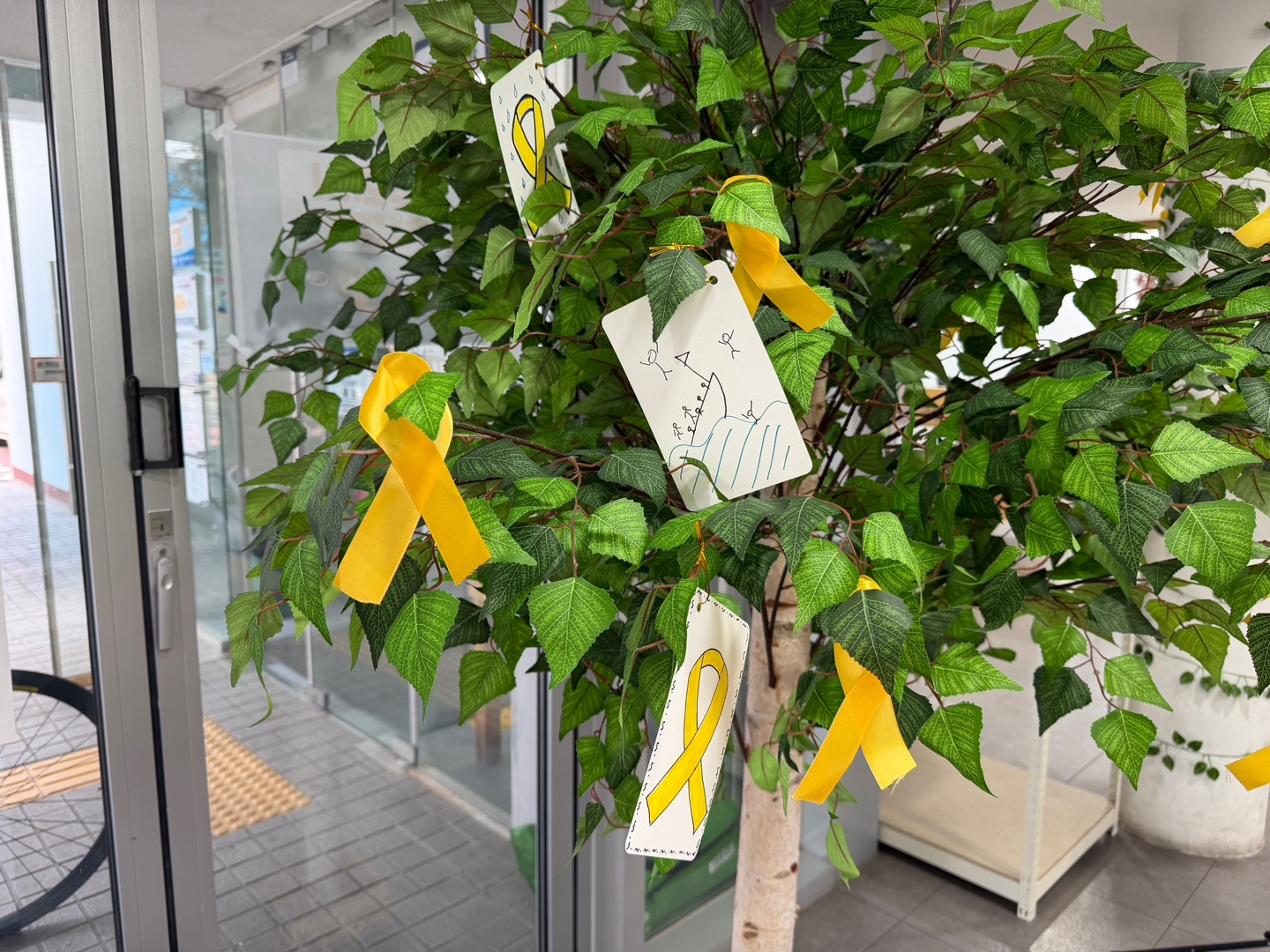 417b3ad581618.jpg