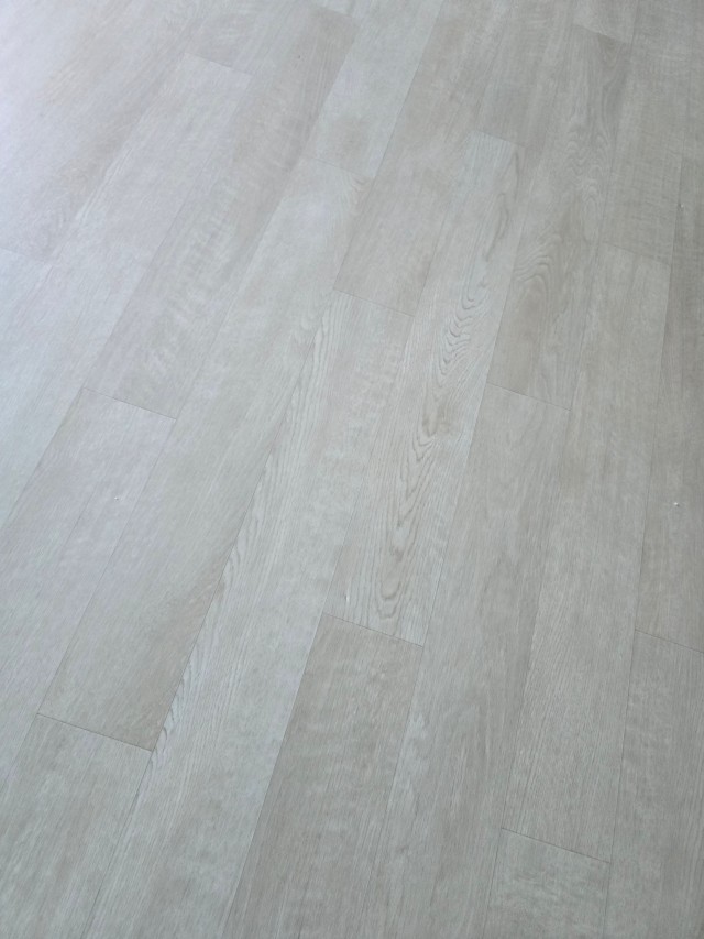 e84680c4c6261.jpg
