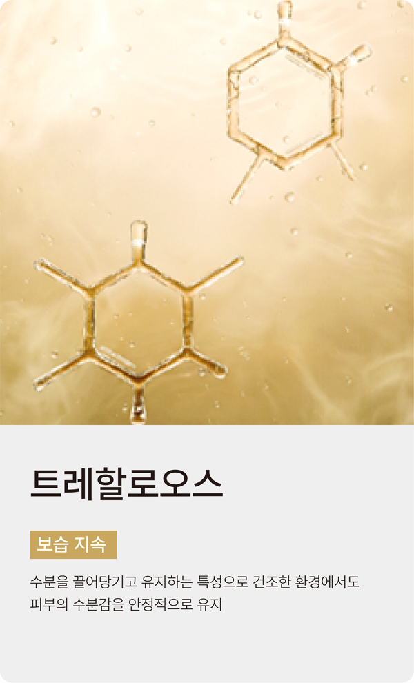 slide_015