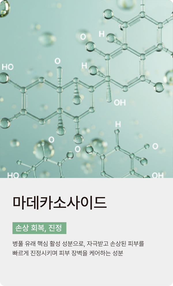 slide_021