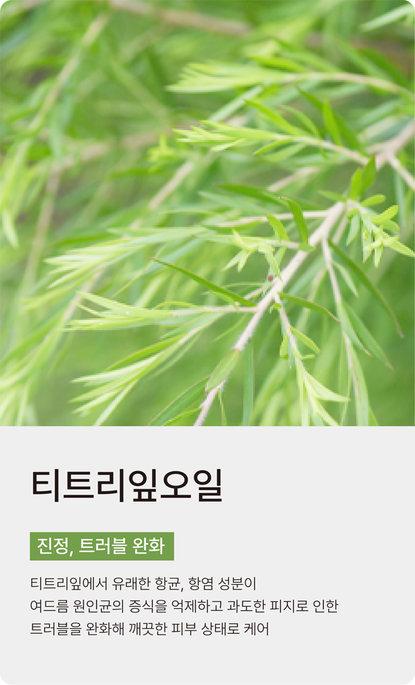 slide_018
