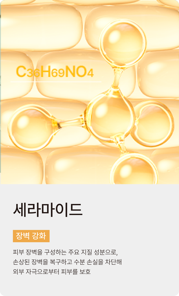 slide_022