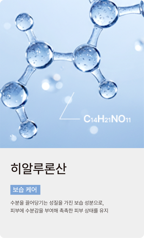slide_06