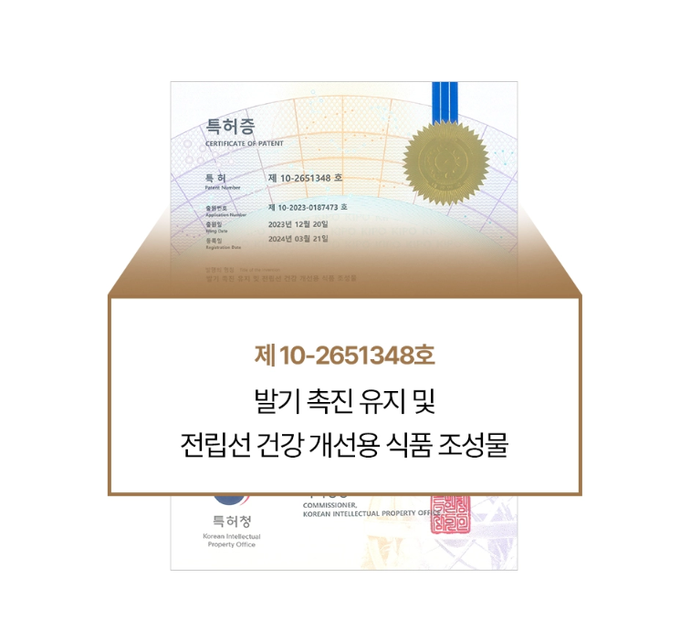 [전립선 특허] 남성 초월정 프리미엄