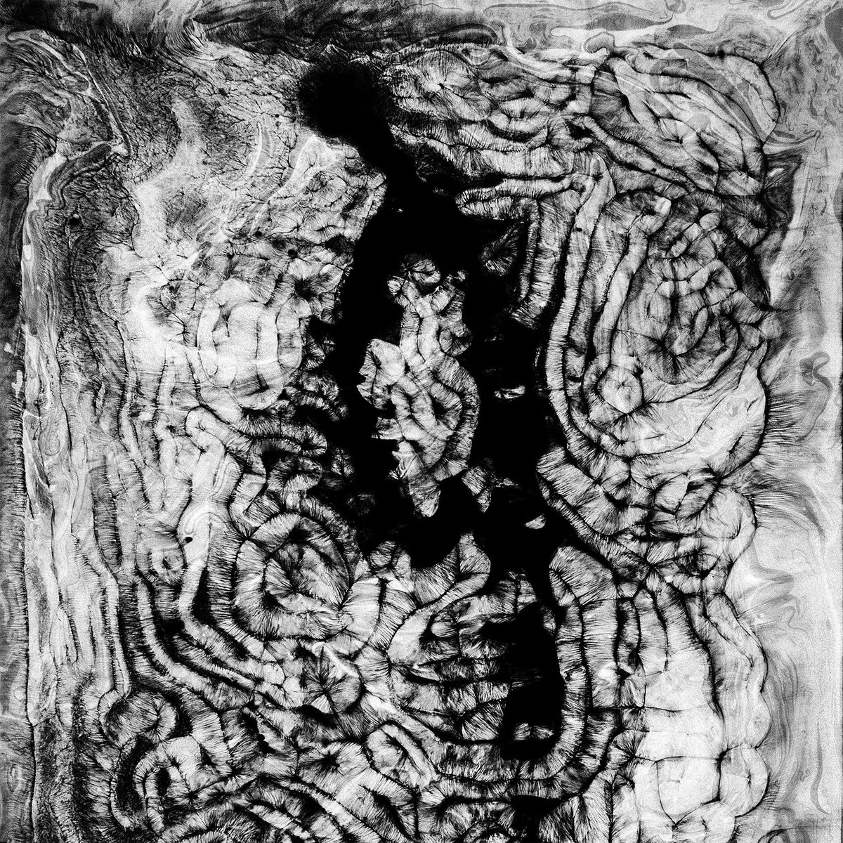 FORESTS 森林 - IDOL COLLAPSE (TAPE)