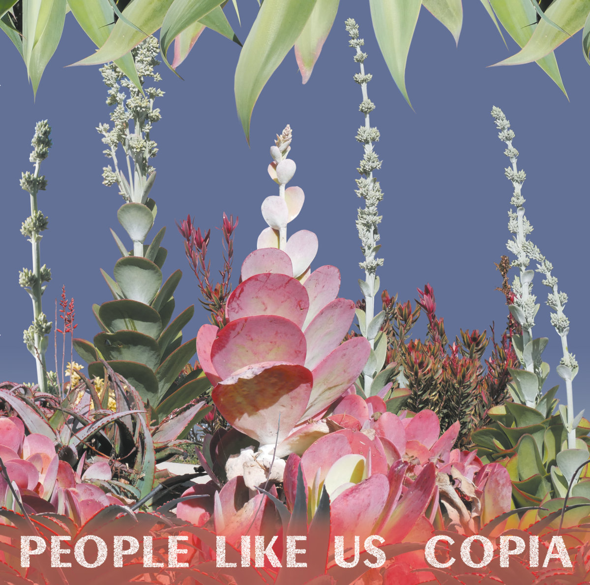 PEOPLE LIKE US - Copia (VINYL)
