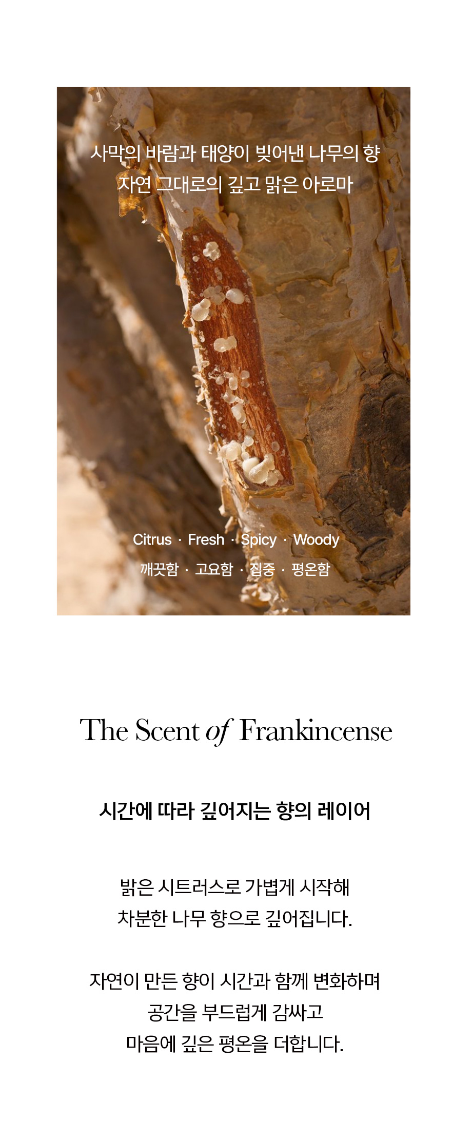 모먼트 100% 천연 프랑킨센스 레진 30g