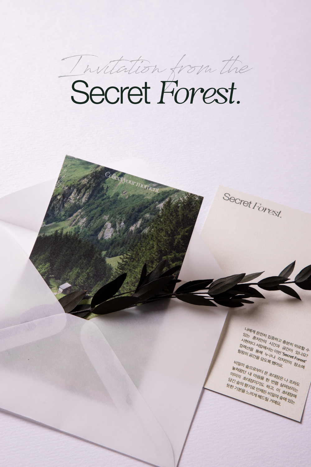 화장품 상품상세 이미지-S15L3