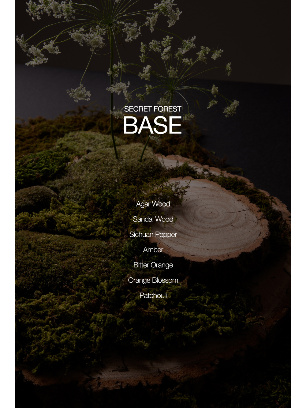 화장품 상품상세 이미지-S25L1