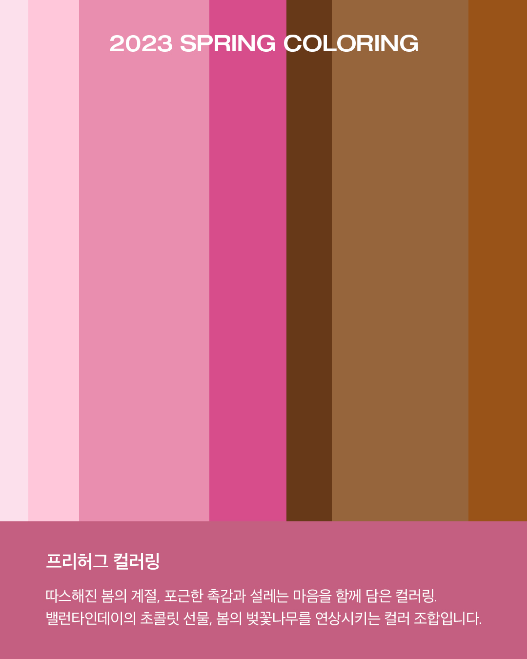 63eea42cfe681.png