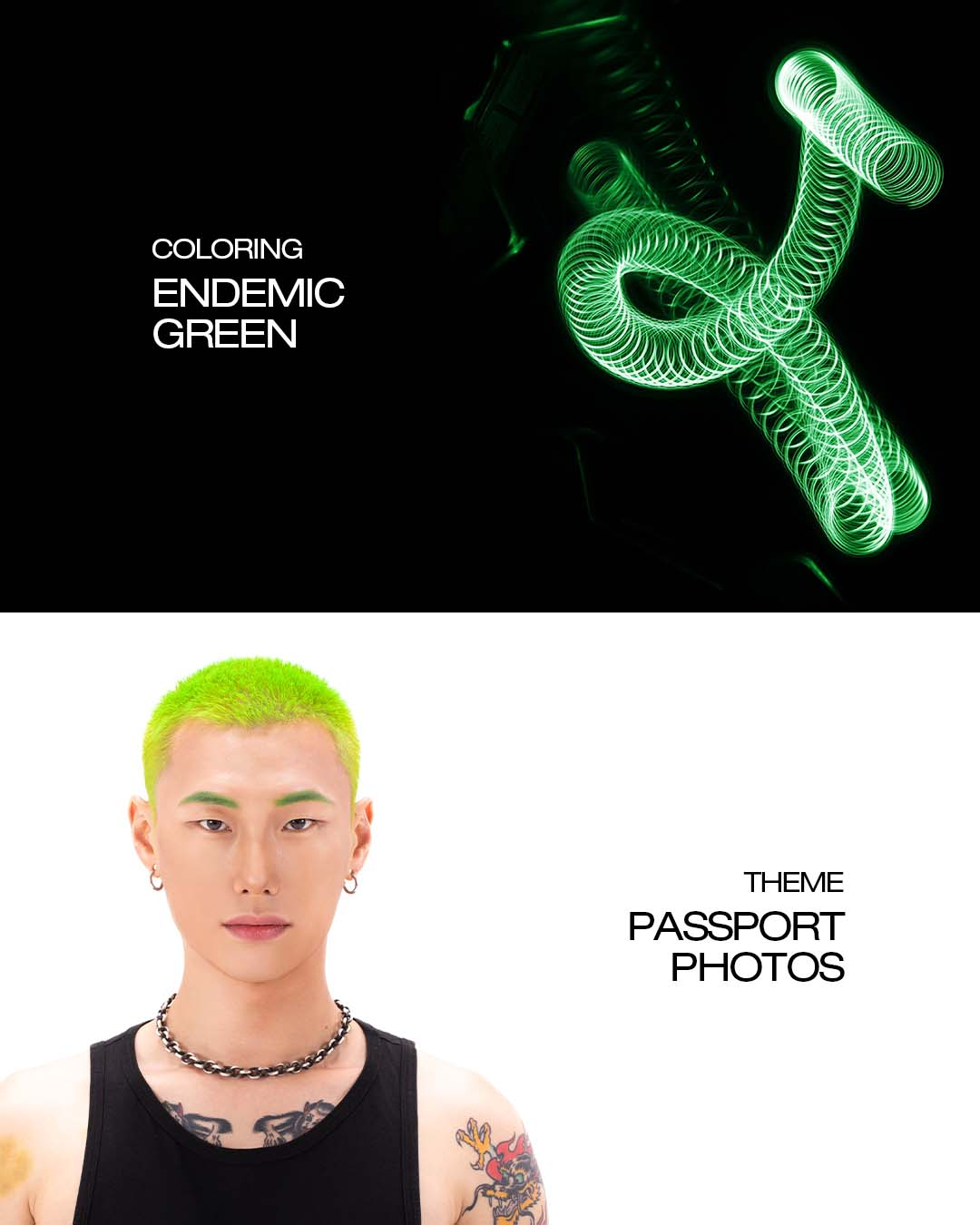 6ca00a3d137a7.png