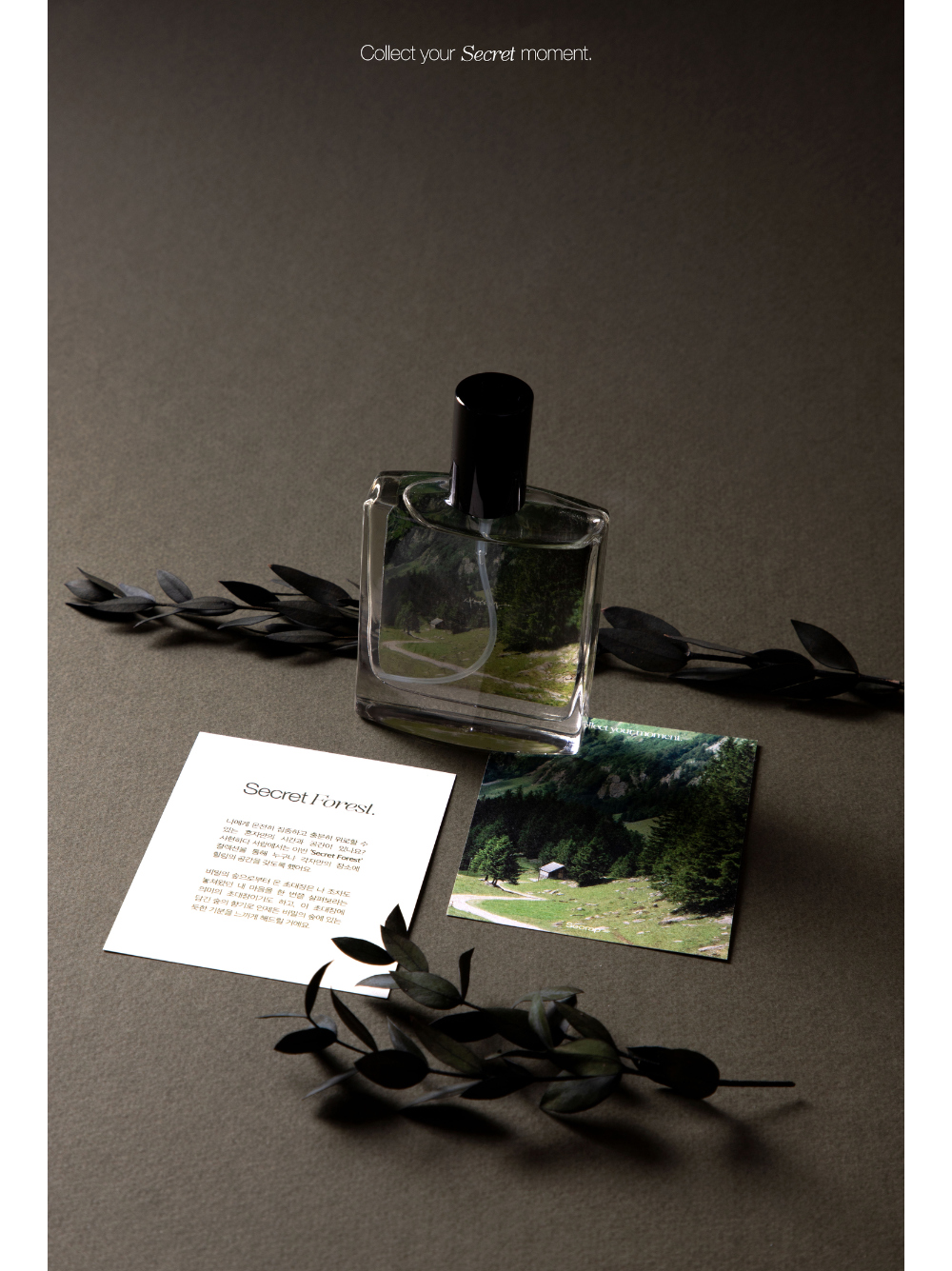 화장품 오트밀 색상 이미지-S13L10