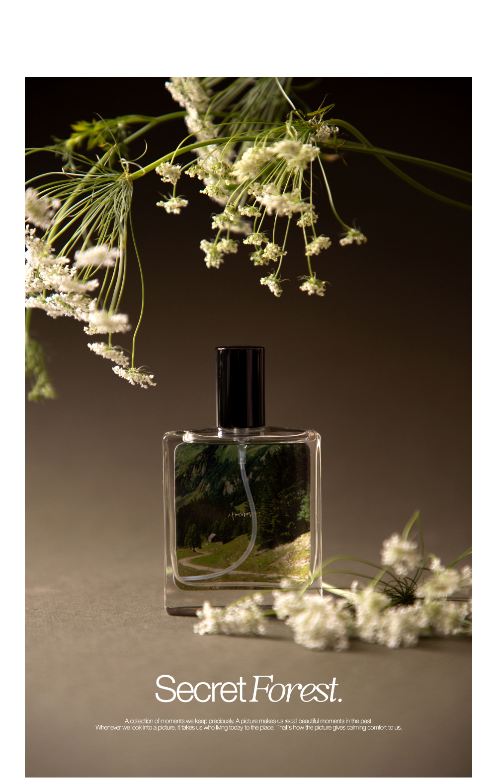 화장품 브라운 색상 이미지-S1L1