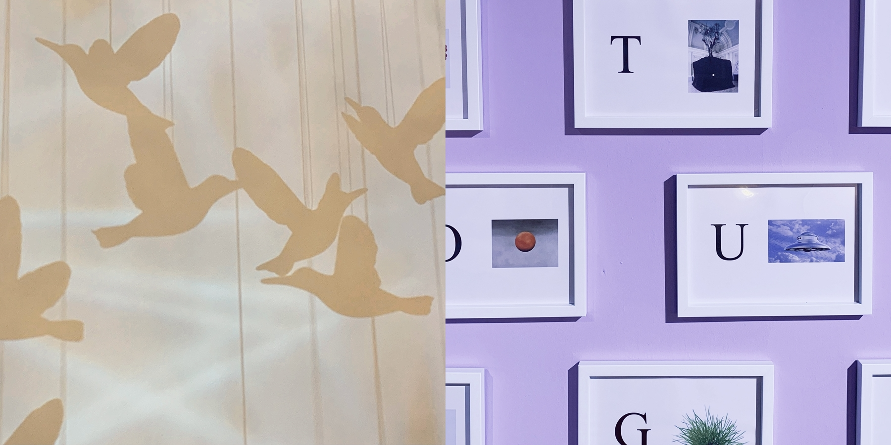 ee161ee5f902f.png