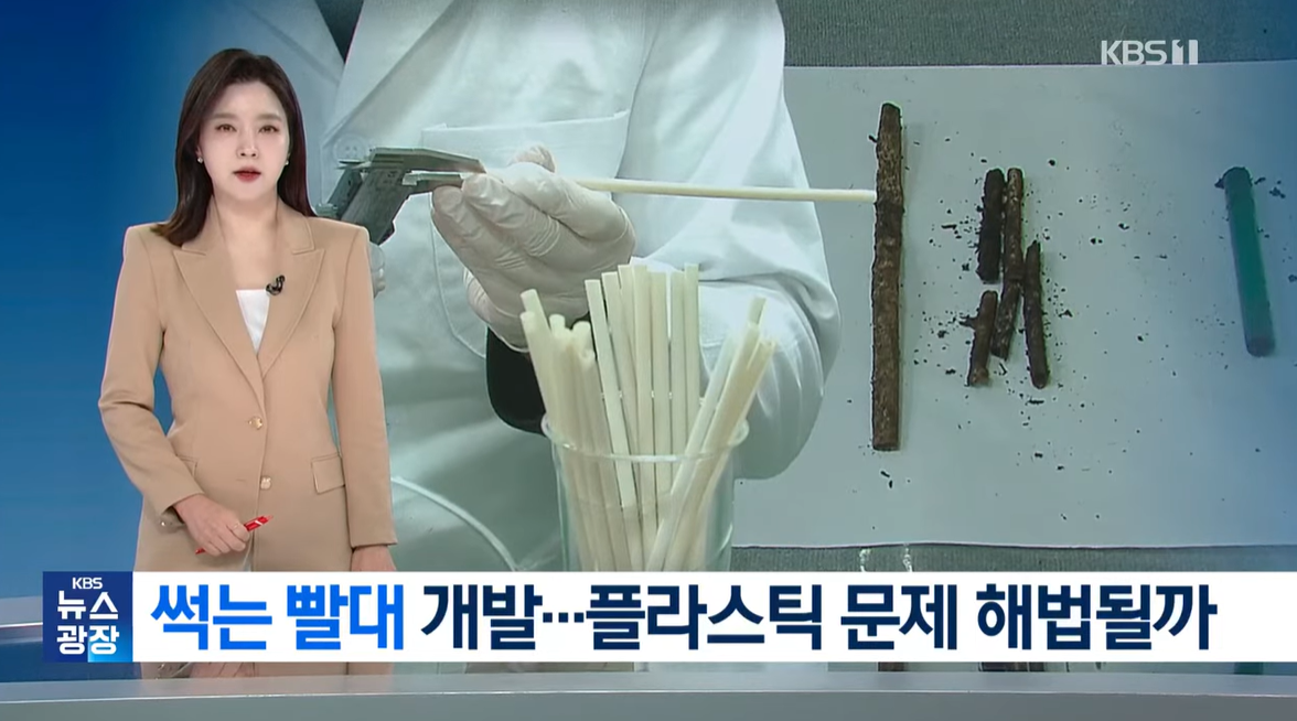 KBS 2026-02-28 202448.png