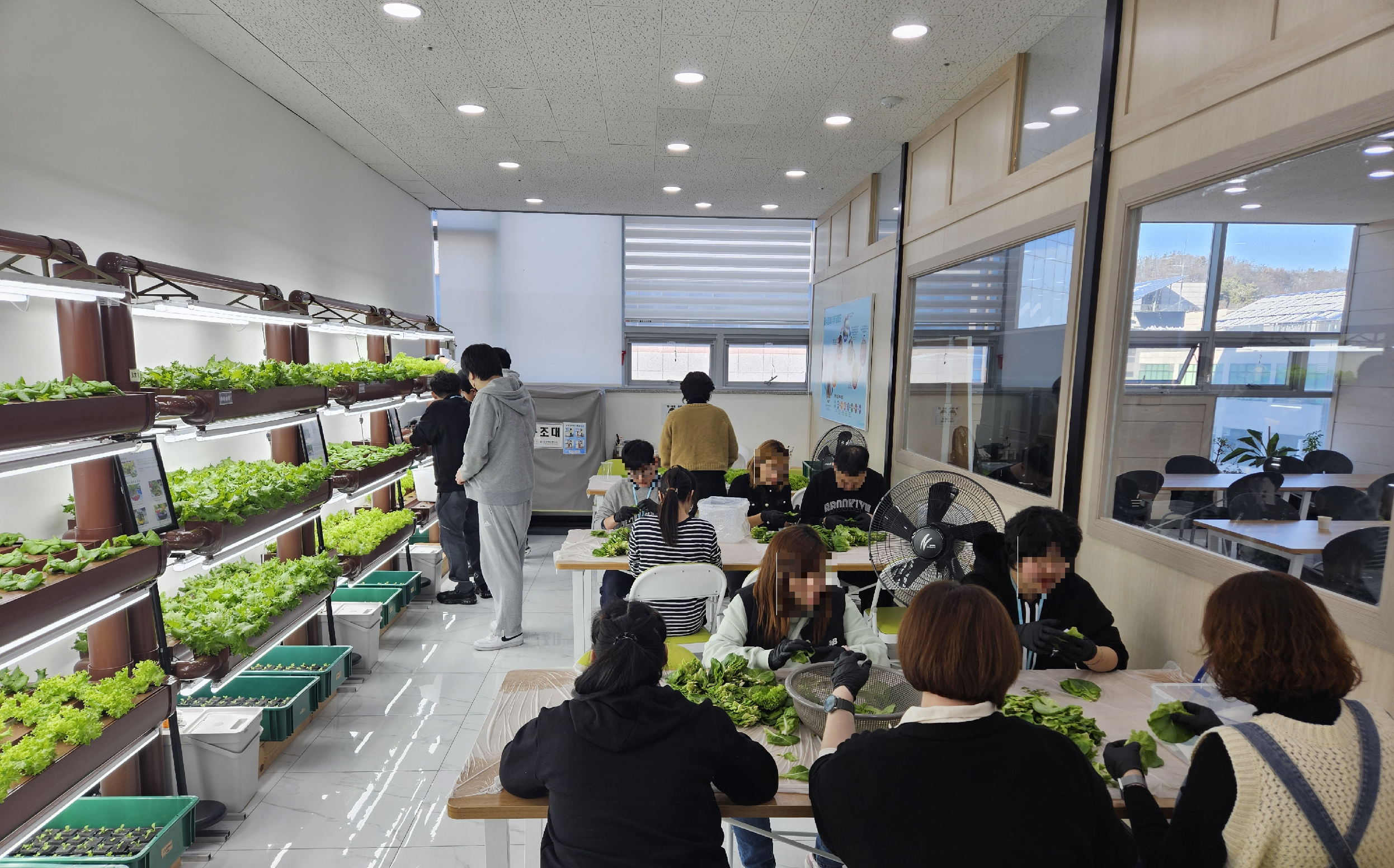 a4715553dae2e.png