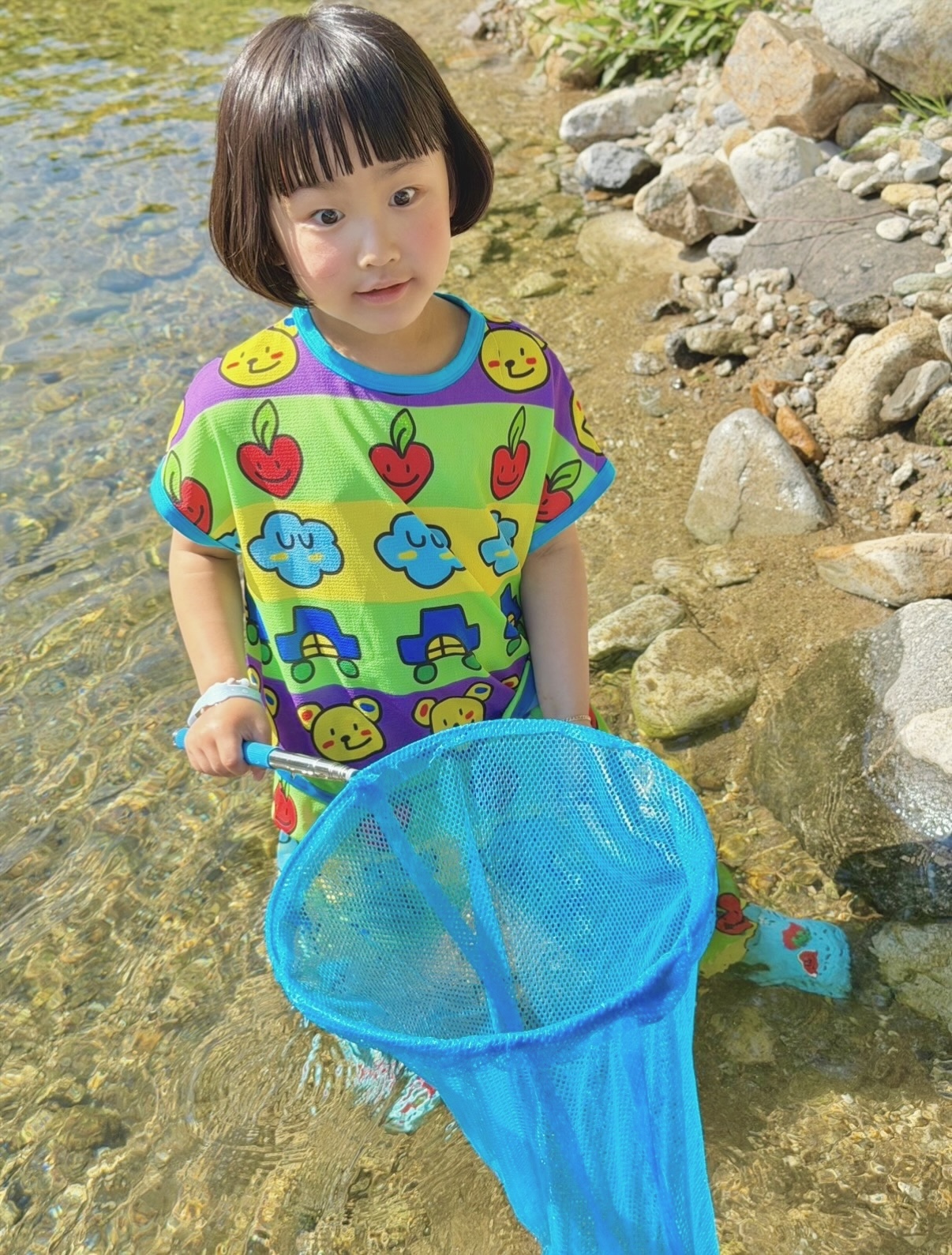 세젤귀T