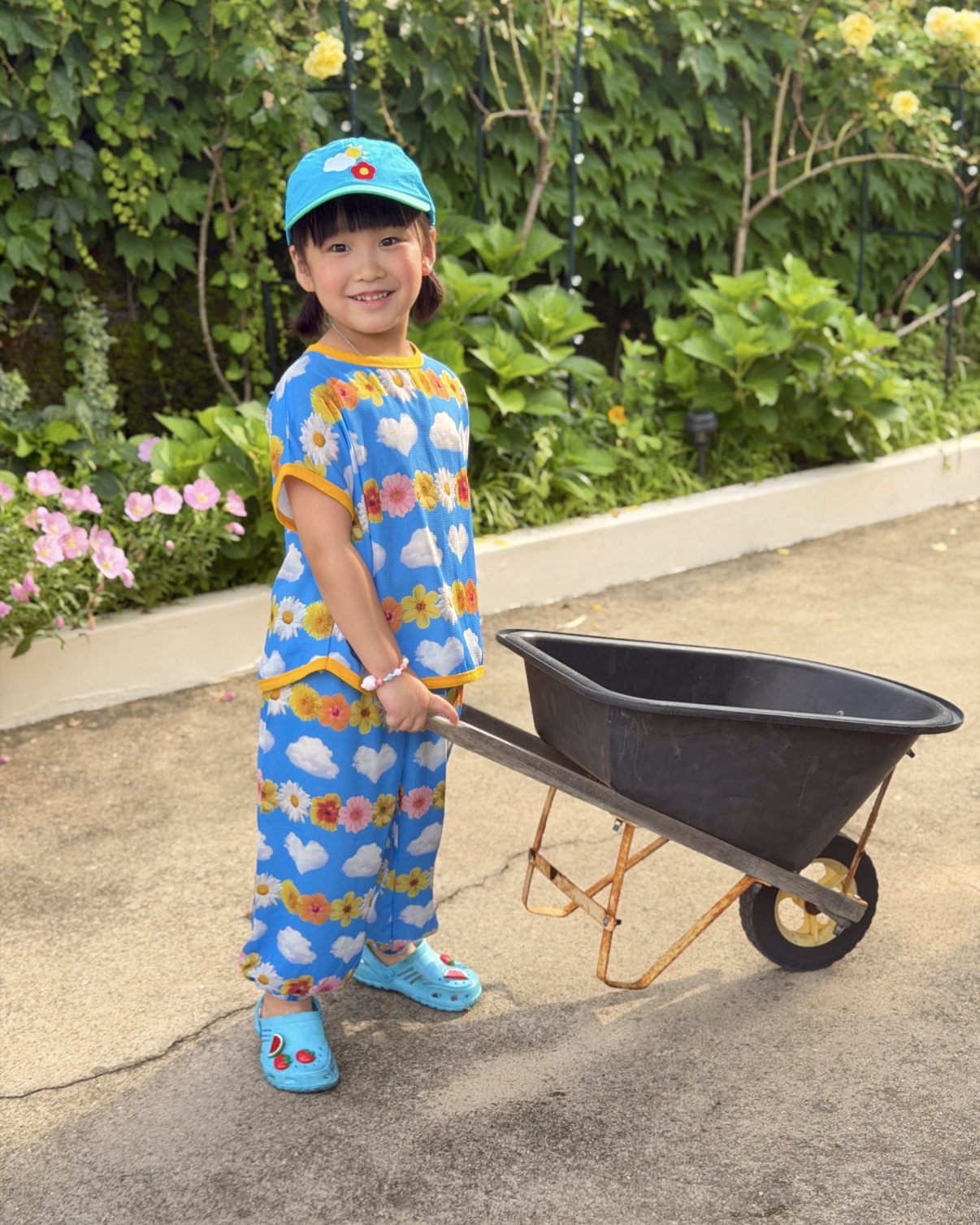 꽃구름지지미고쟁이