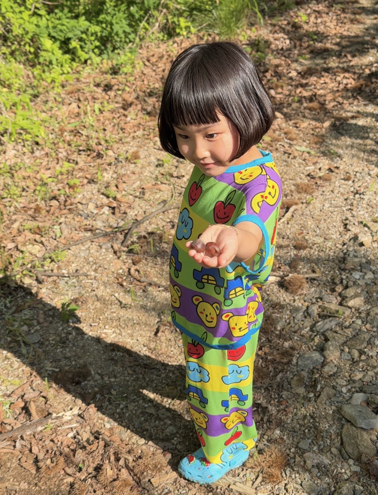 세젤귀T